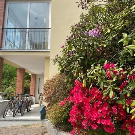 Apartment La Casetta Gialla *